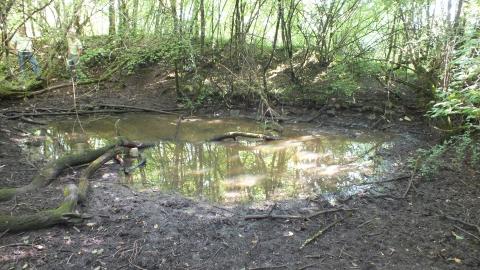 Mare avant travaux en juillet 2014, très sombre à cause des arbres et avec un niveaud 'eau très faible