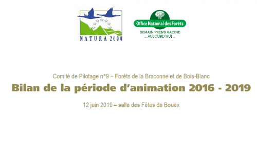 page_de_garde_copil_2019.png